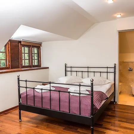 Vila Wendy Sinaia Room photo